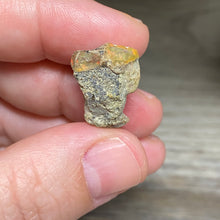 Bild in Galerie-Viewer laden, Welo Ethiopian Opal Small Rough Set #15