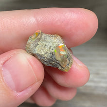 Bild in Galerie-Viewer laden, Welo Ethiopian Opal Small Rough Set #15