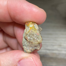 Bild in Galerie-Viewer laden, Welo Ethiopian Opal Small Rough Set #15
