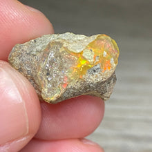 Bild in Galerie-Viewer laden, Welo Ethiopian Opal Small Rough Set #15