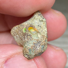 Bild in Galerie-Viewer laden, Welo Ethiopian Opal Small Rough Set #15