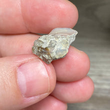 Bild in Galerie-Viewer laden, Welo Ethiopian Opal Small Rough Set #15