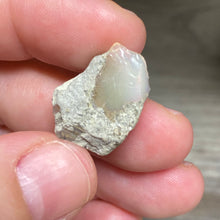 Bild in Galerie-Viewer laden, Welo Ethiopian Opal Small Rough Set #15