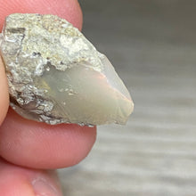 Bild in Galerie-Viewer laden, Welo Ethiopian Opal Small Rough Set #15