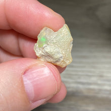 Bild in Galerie-Viewer laden, Welo Ethiopian Opal Small Rough Set #15