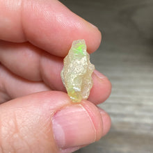 Bild in Galerie-Viewer laden, Welo Ethiopian Opal Small Rough Set #15