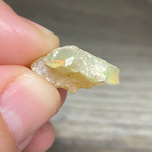 Bild in Galerie-Viewer laden, Welo Ethiopian Opal Small Rough Set #15