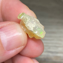 Bild in Galerie-Viewer laden, Welo Ethiopian Opal Small Rough Set #15
