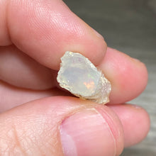 Bild in Galerie-Viewer laden, Welo Ethiopian Opal Small Rough Set #15
