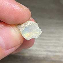 Bild in Galerie-Viewer laden, Welo Ethiopian Opal Small Rough Set #15