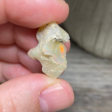 Bild in Galerie-Viewer laden, Welo Ethiopian Opal Small Rough Set #16
