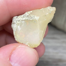Bild in Galerie-Viewer laden, Welo Ethiopian Opal Small Rough Set #16