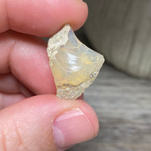 Bild in Galerie-Viewer laden, Welo Ethiopian Opal Small Rough Set #16