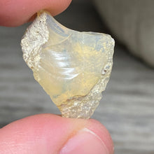 Bild in Galerie-Viewer laden, Welo Ethiopian Opal Small Rough Set #16
