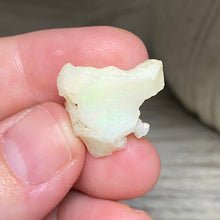 Bild in Galerie-Viewer laden, Welo Ethiopian Opal Small Rough Set #17