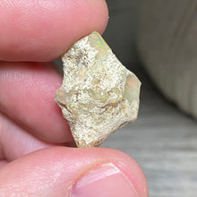 Bild in Galerie-Viewer laden, Welo Ethiopian Opal Small Rough Set #17
