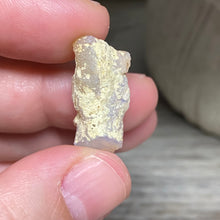 Bild in Galerie-Viewer laden, Welo Ethiopian Opal Small Rough Set #17