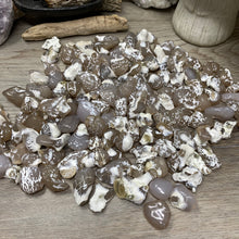Bild in Galerie-Viewer laden, Polished Oregon Snakeskin Agate Tumbles