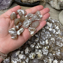 Bild in Galerie-Viewer laden, Polished Oregon Snakeskin Agate Tumbles