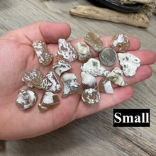 Bild in Galerie-Viewer laden, Polished Oregon Snakeskin Agate Tumbles