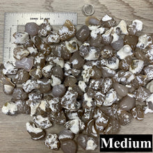 Bild in Galerie-Viewer laden, Polished Oregon Snakeskin Agate Tumbles
