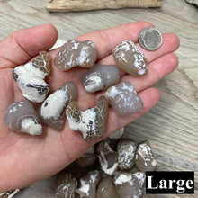 Bild in Galerie-Viewer laden, Polished Oregon Snakeskin Agate Tumbles