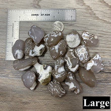 Bild in Galerie-Viewer laden, Polished Oregon Snakeskin Agate Tumbles