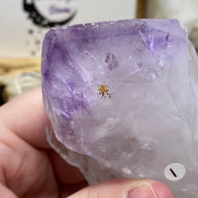 将图像加载到图库查看器中,Natural Amethyst Point from Brazil #01