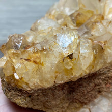 Bild in Galerie-Viewer laden, Red / Tangerine Quartz Cluster #001