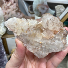 Bild in Galerie-Viewer laden, Red / Tangerine Quartz Cluster #008