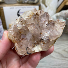 Bild in Galerie-Viewer laden, Red / Tangerine Quartz Cluster #016