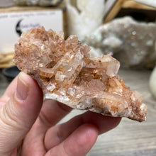 Load image into Gallery viewer, Red / Tangerine Quartz Cluster #019