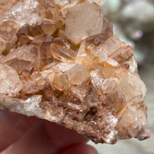 Load image into Gallery viewer, Red / Tangerine Quartz Cluster #019