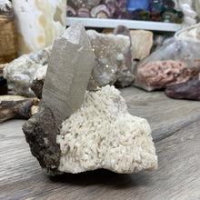 Bild in Galerie-Viewer laden, Smoky Quartz Specimen with Albite and Muscovite
