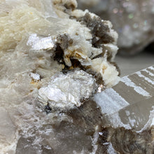 Bild in Galerie-Viewer laden, Smoky Quartz Specimen with Albite and Muscovite