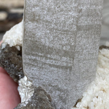 Bild in Galerie-Viewer laden, Smoky Quartz Specimen with Albite and Muscovite