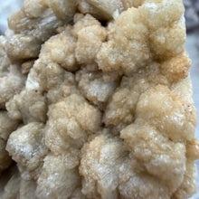 Chargez l'image dans la visionneuse de la galerie, <transcy>Apophyllite avec Stilbite et Chlorite Verte</transcy>