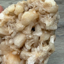 Cargar imagen en el visor de la galería, Apophyllite/Zeolite Cluster #02