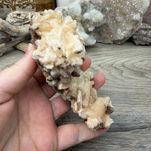 Cargar imagen en el visor de la galería, Apophyllite/Zeolite Cluster #03