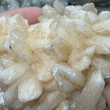 Cargar imagen en el visor de la galería, Apophyllite/Zeolite Cluster #03