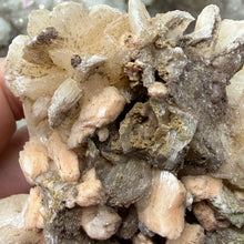 Cargar imagen en el visor de la galería, Apophyllite/Zeolite Cluster #03