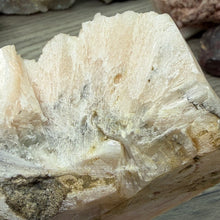 Chargez l'image dans la visionneuse de la galerie, <transcy>Apophyllite avec Stilbite et Chlorite Verte</transcy>