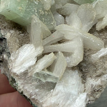 将图像加载到图库查看器中,<transcy>鱼眼石与辉石和绿色绿泥石</transcy>