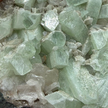 Cargar imagen en el visor de la galería, Apophyllite/Zeolite Cluster #12