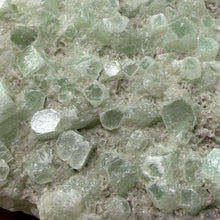 Cargar imagen en el visor de la galería, Apophyllite/Zeolite Cluster #15