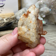 Bild in Galerie-Viewer laden, Red / Tangerine Quartz Cluster #61