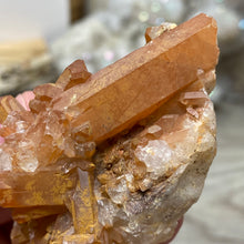 Bild in Galerie-Viewer laden, Red / Tangerine Quartz Cluster #61