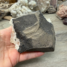 Cargar imagen en el visor de la galería, Apophyllite/Zeolite Cluster #19
