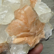 Cargar imagen en el visor de la galería, Apophyllite/Zeolite Cluster #19