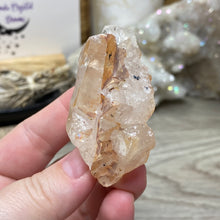 Bild in Galerie-Viewer laden, Red / Tangerine Quartz Cluster #64